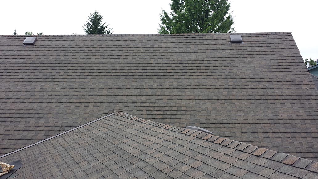 top roofer and roofing contractors in Pitt Meadows for Damaged roofs