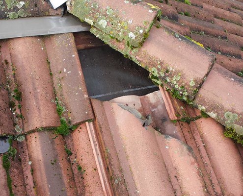 roof maintenance when damaged