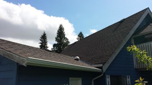 Quantum Roofing Residential After Photo 4