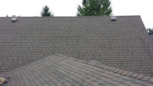 pitt meadows roof